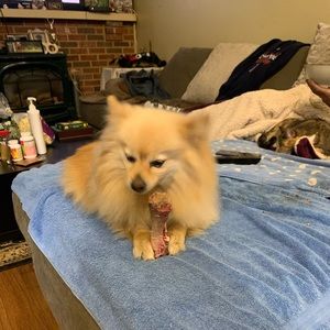 Meet your Posher, Fei